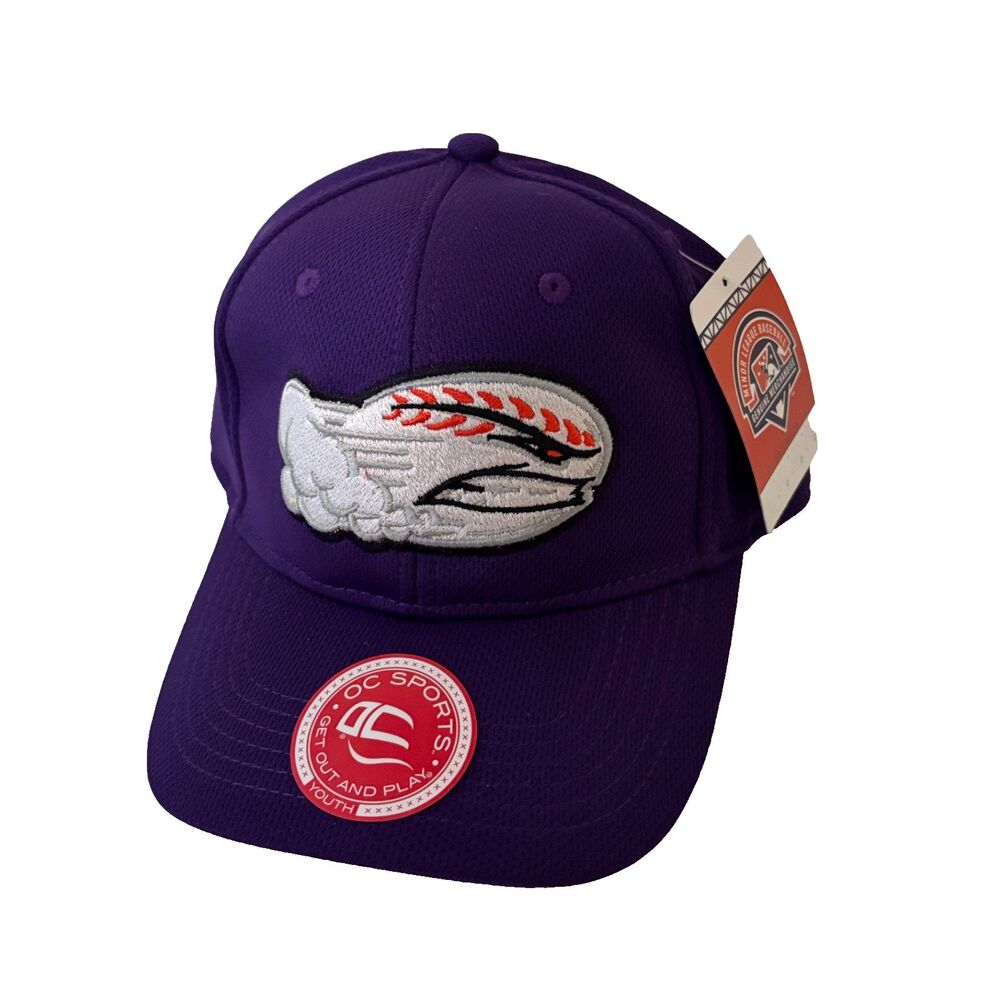 Winston Salem Dash Baseball Hat Minor League Baseball Youth Adjustable Purple
